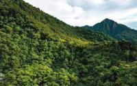 Greenlife - Kostarika